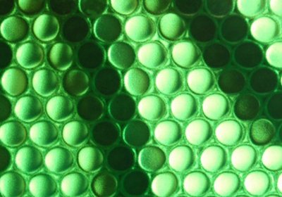 HOW DO PLASTIC HONEYCOMB PANELS ABSORB SOUND AND LIGHT?
