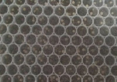 Plastic honeycomb core-Perfect carrier for activated carbon Purification filter(part II)