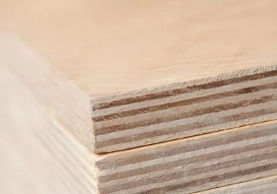 Thermoplastic Honeycomb Panels — Shaping the Future of Green Building and Efficient Transportation